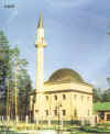 cami.jpg (35461 bytes)